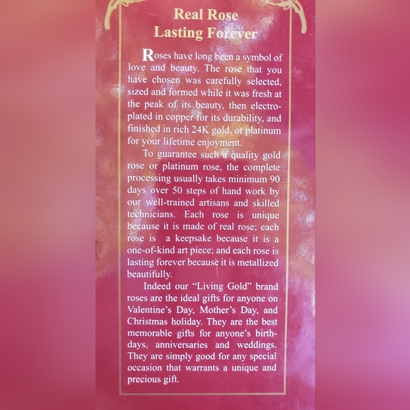 Red Rose - Picture 2 of 2